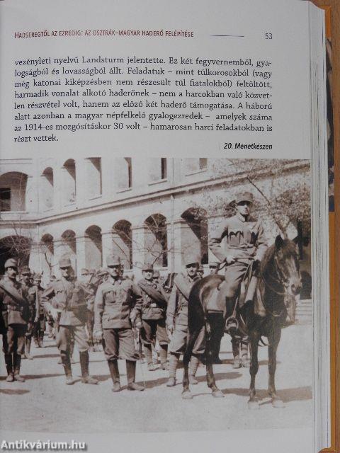 Magyar ezredek a Doberdó-fennsík védelmében