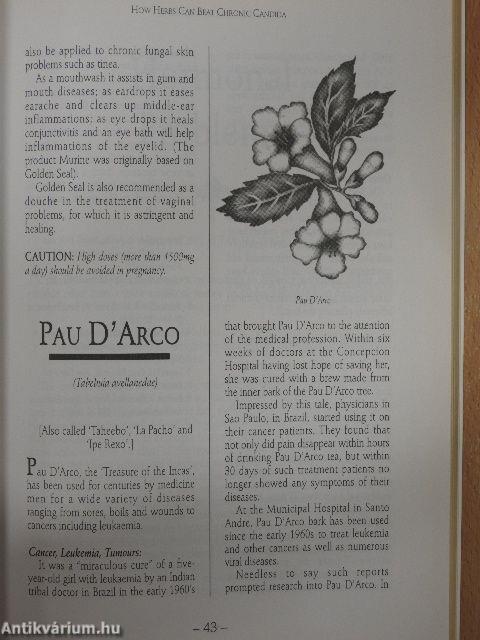 Positive Health with Herbs