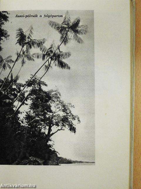 Az őrjöngő Ucayali