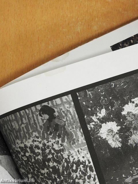 Artmagazin 2005. május-június