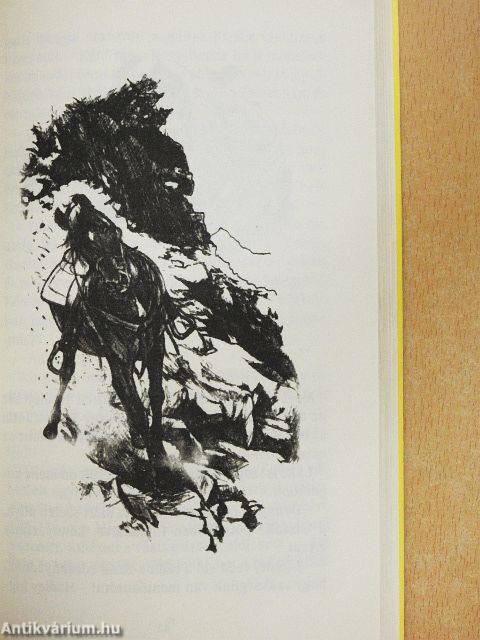 A rakoncátlan csikó