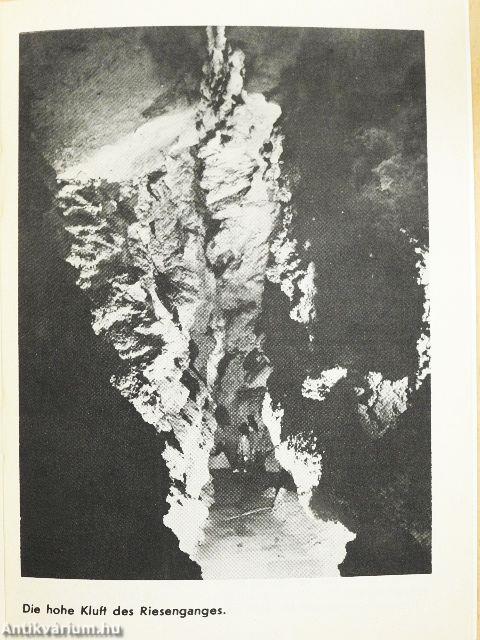 Budapest - Die Höhle von Szemlő-hegy