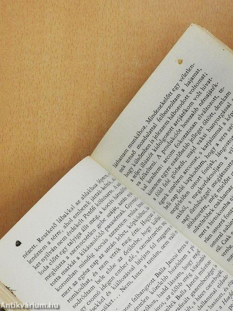 Néhány első szerelem története