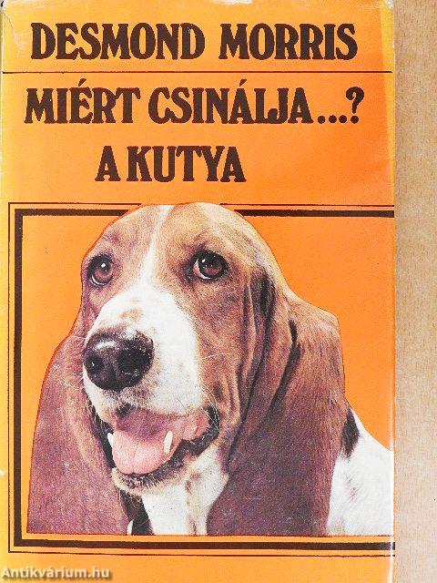 Miért csinálja...? A kutya