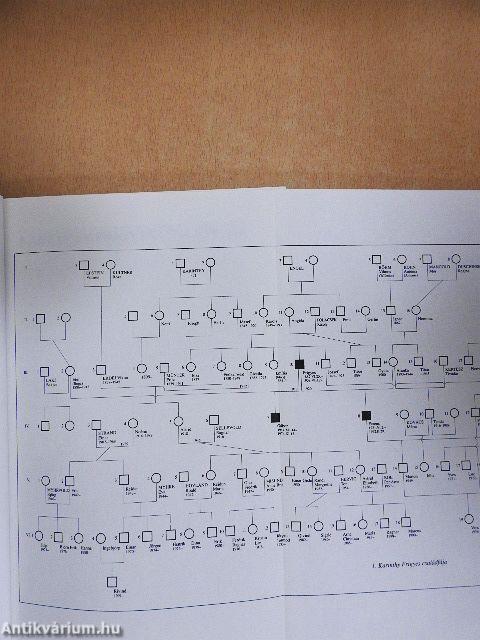 Számadás a tálentomról