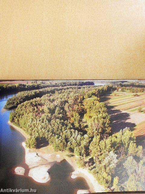 Életképek a huszadik századi Tahitótfaluból