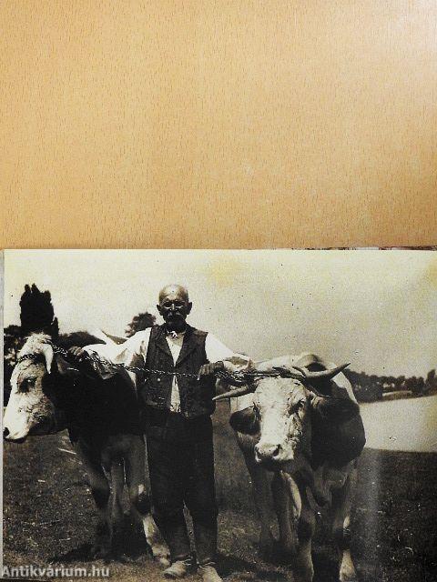 Életképek a huszadik századi Tahitótfaluból