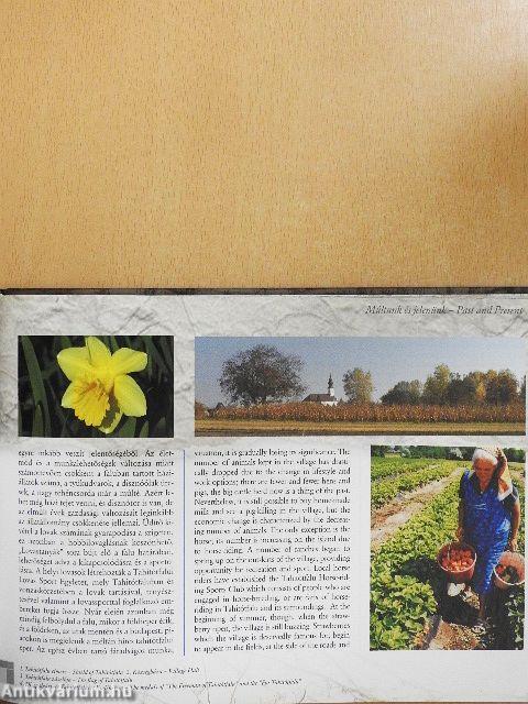 Életképek a huszadik századi Tahitótfaluból