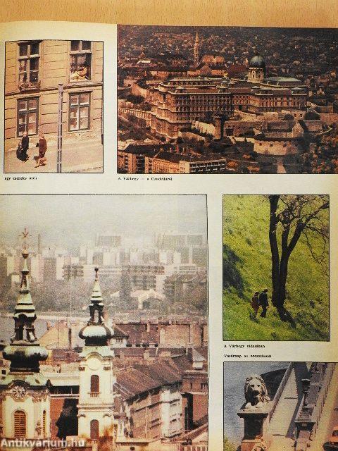 Nők Lapja 1979. (nem teljes évfolyam)