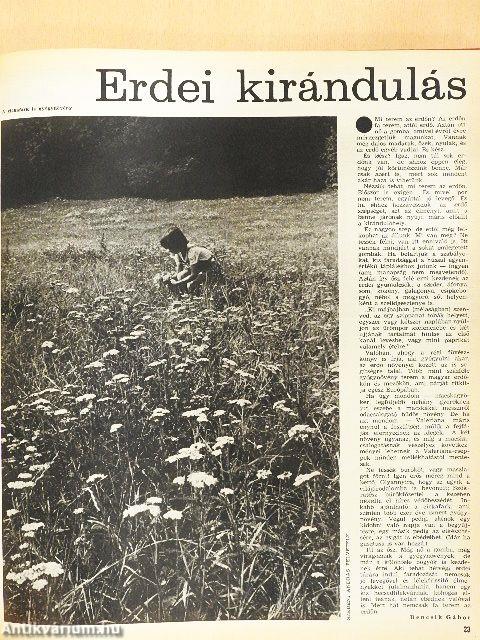 Nők Lapja 1979. (nem teljes évfolyam)