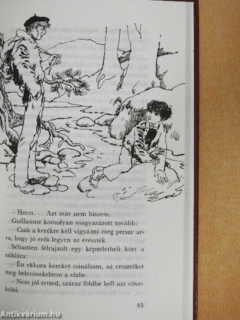 Belle és Sébastien