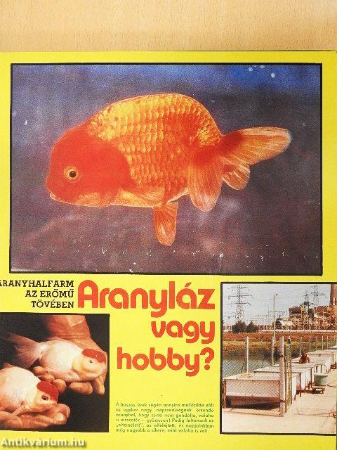Állatvilág 1979. (nem teljes évfolyam)