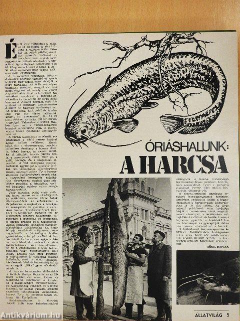 Állatvilág 1979. (nem teljes évfolyam)