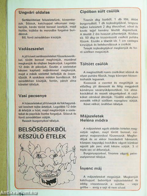 Fakanál - 101 sertéshúsétel receptje