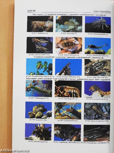 Az édesvizek és védelmük