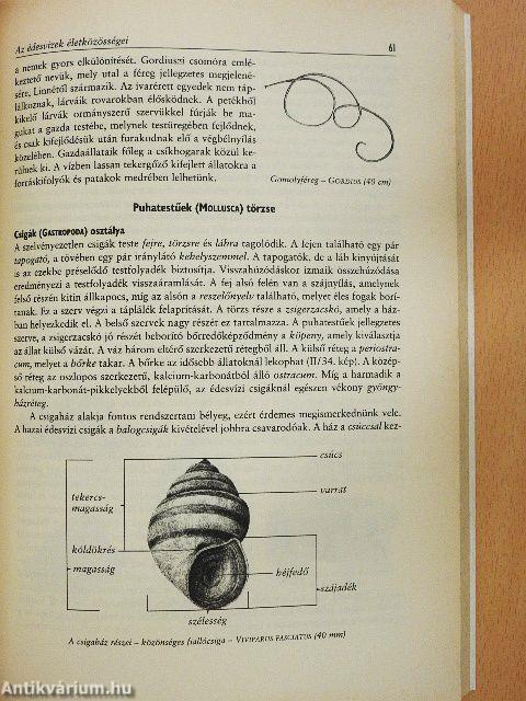 Az édesvizek és védelmük