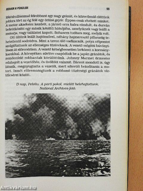 Pokol a Csendes-óceánon