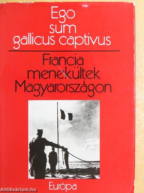 Francia menekültek Magyarországon - Ego sum gallicus captivus