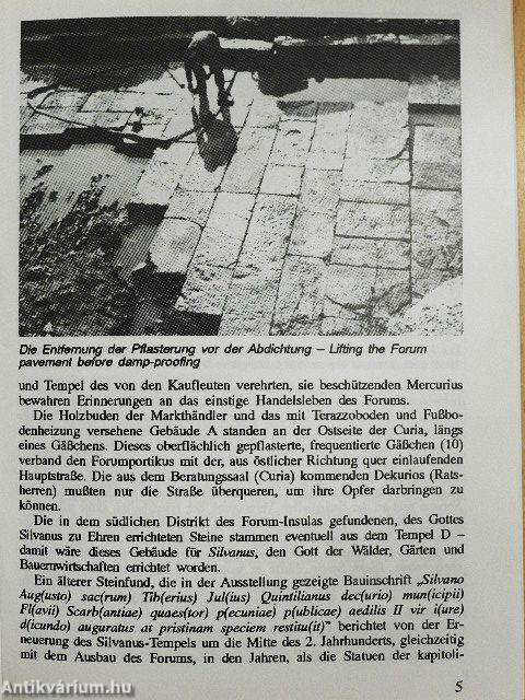 Sopron - Das Forum von Scarbantia