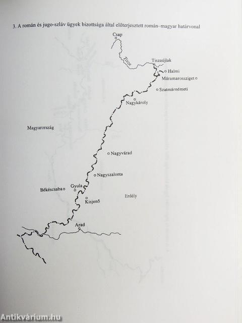 Francia diplomáciai iratok a Kárpát-medence történetéről 1918-1919