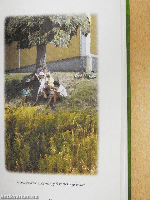 Titkok egy régi kertben