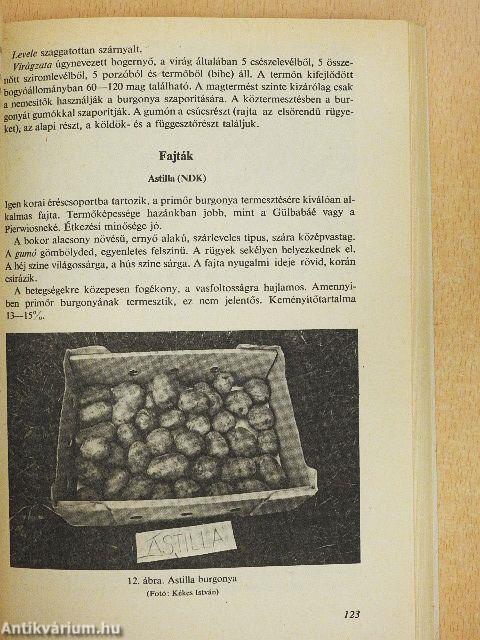 Jövedelmező háztáji növénytermesztés