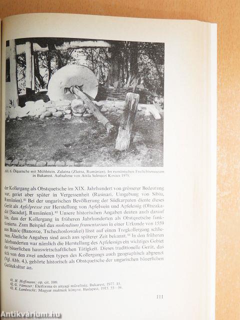 Műveltség és hagyomány