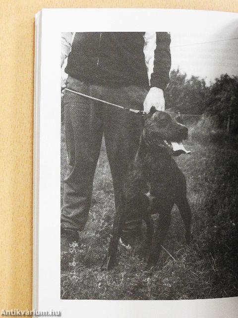 Az ítélet: halál?