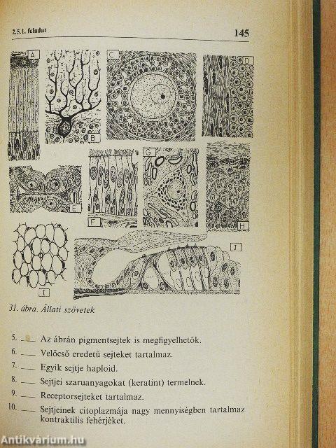 Biológiai fejtörő