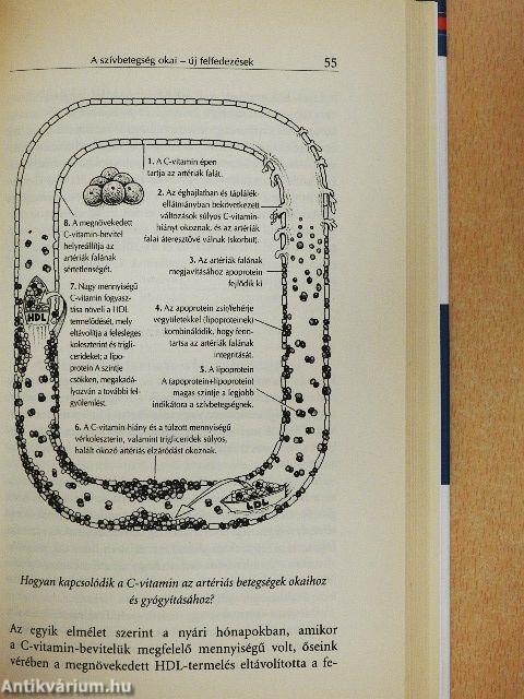 Mondj nemet a szívbetegségekre!