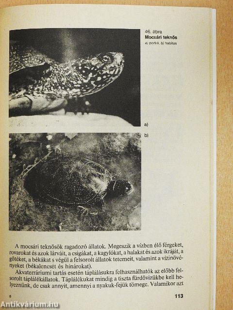 Kétéltűek, hüllők a lakásban