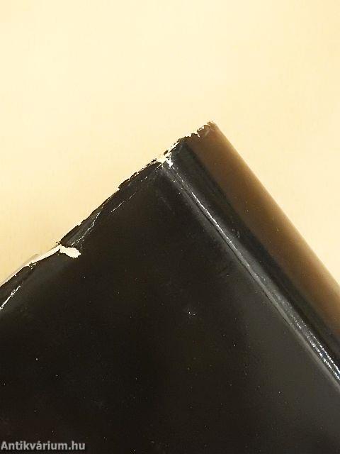 A nevető ember