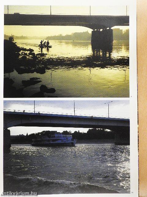 Buda, Danubio, Pest