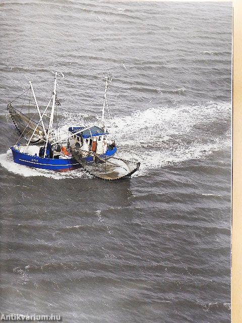 Deutschland von oben