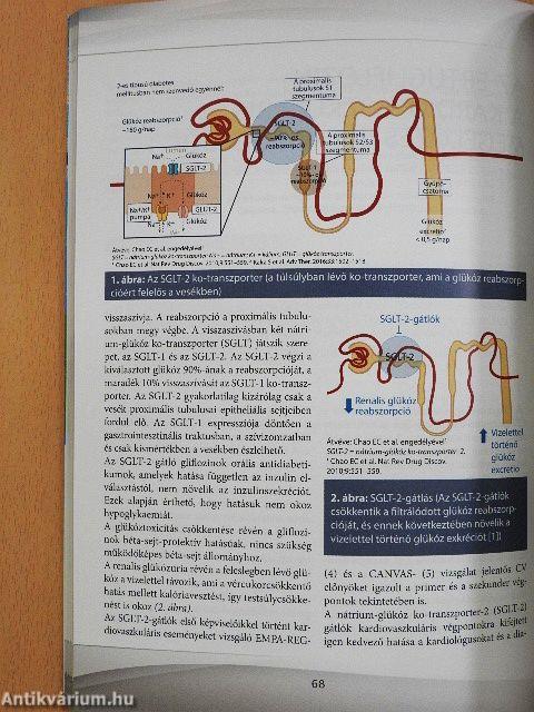 Kardio-vaszkuláris iránytű 2019. április