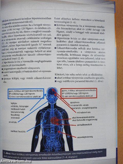 Kardio-vaszkuláris iránytű 2021. március
