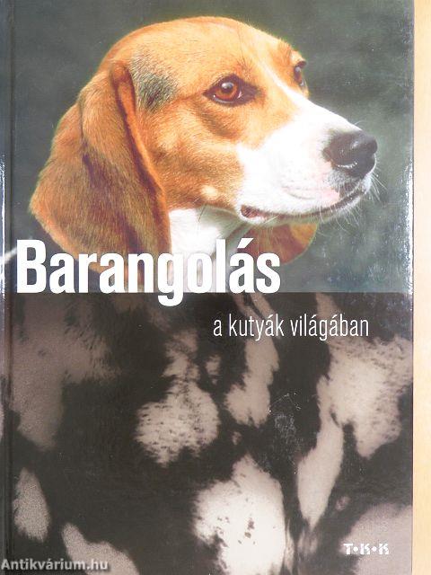 Barangolás a kutyák világában