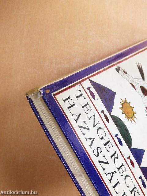 Tengerecki hazaszáll