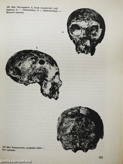 Embertan és emberszármazástan