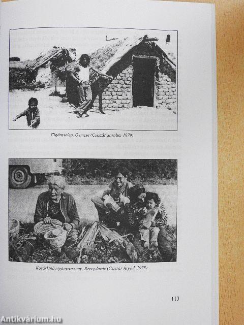 Néprajzi emlékek Beregből és Szatmárból