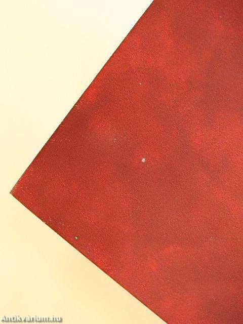 Szerencs monográfiája