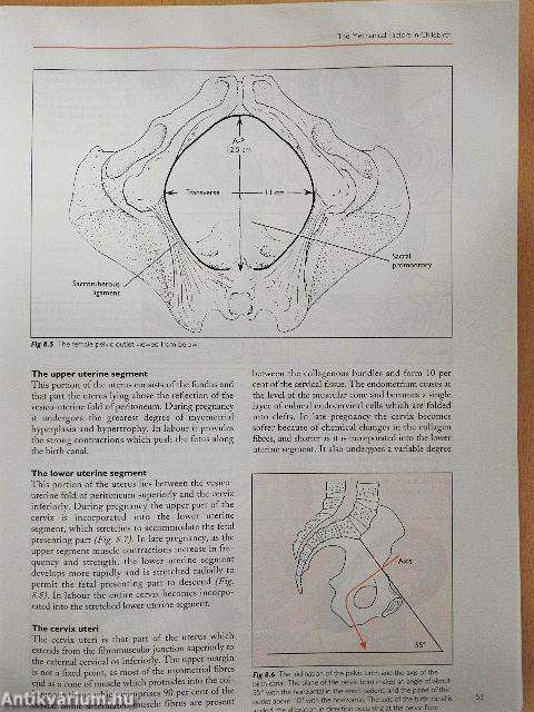 Fundamentals of Obstetrics and Gynaecology