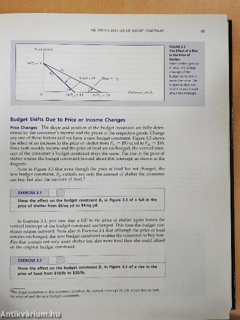 Microeconomics and Behavior
