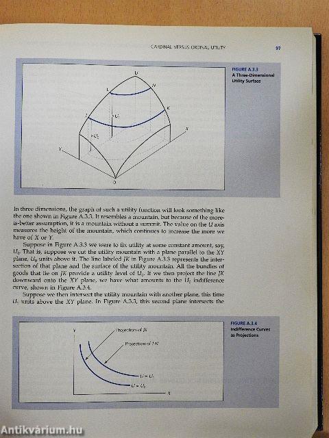 Microeconomics and Behavior