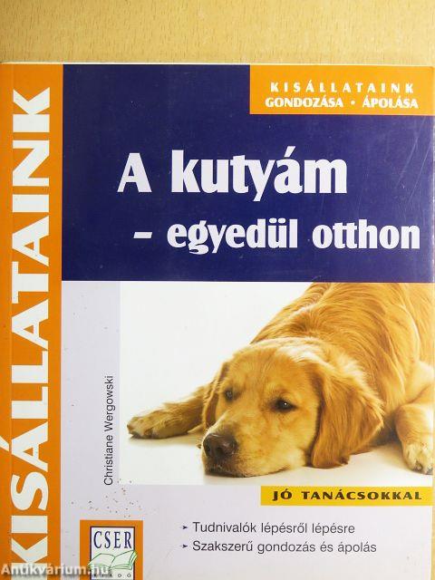 A kutyám - egyedül otthon