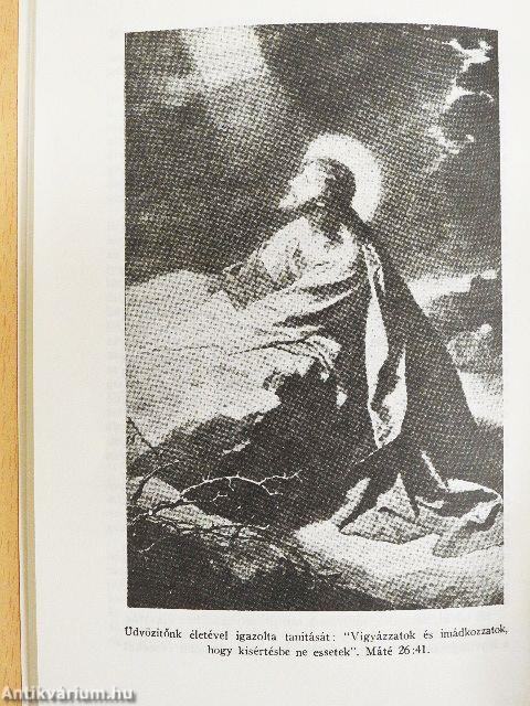 Világválság és döntés