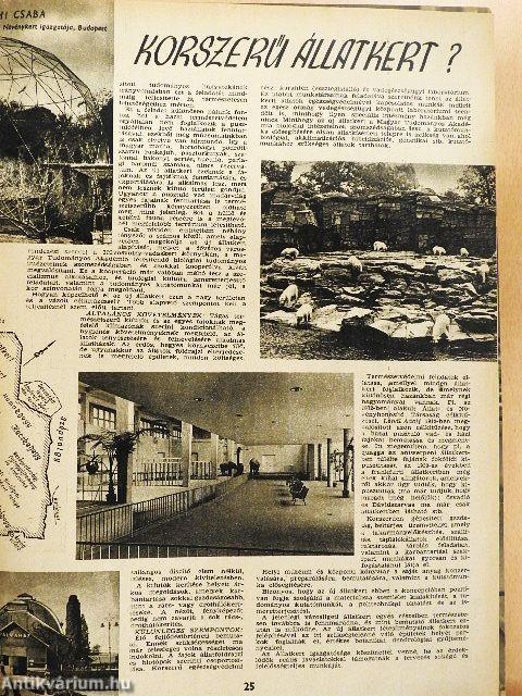 Természettudományi Közlöny 1960. január-december