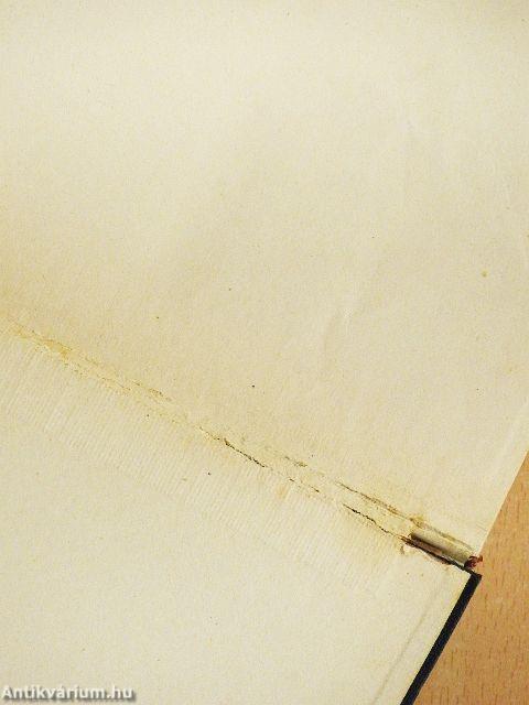 Asszonyok a hegyek között