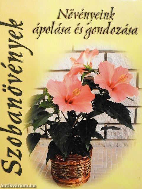 Szobanövények