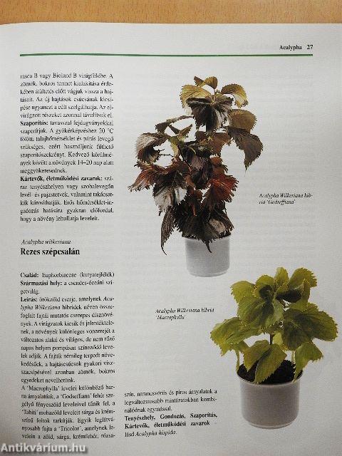 Szobanövény-kalauz